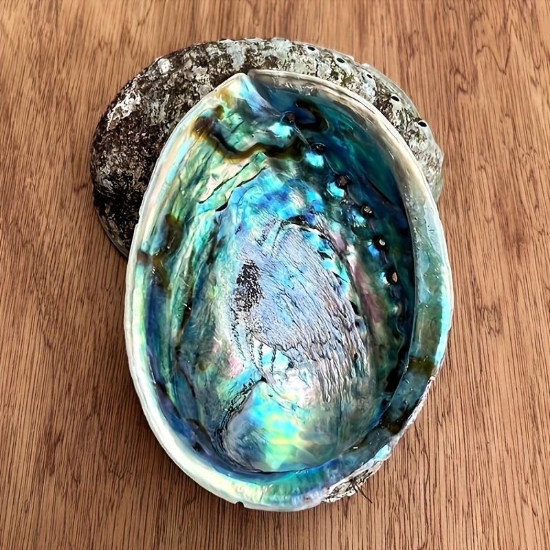 Abalone-schelp plantenbakken,  - Outdoor Furniture Material recensie en prijs