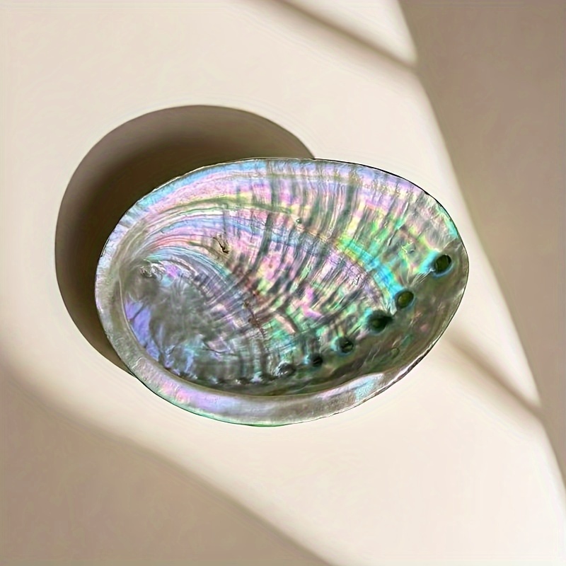 Abalone-schelp plantenbakken,  - Outdoor Furniture Material recensie en prijs