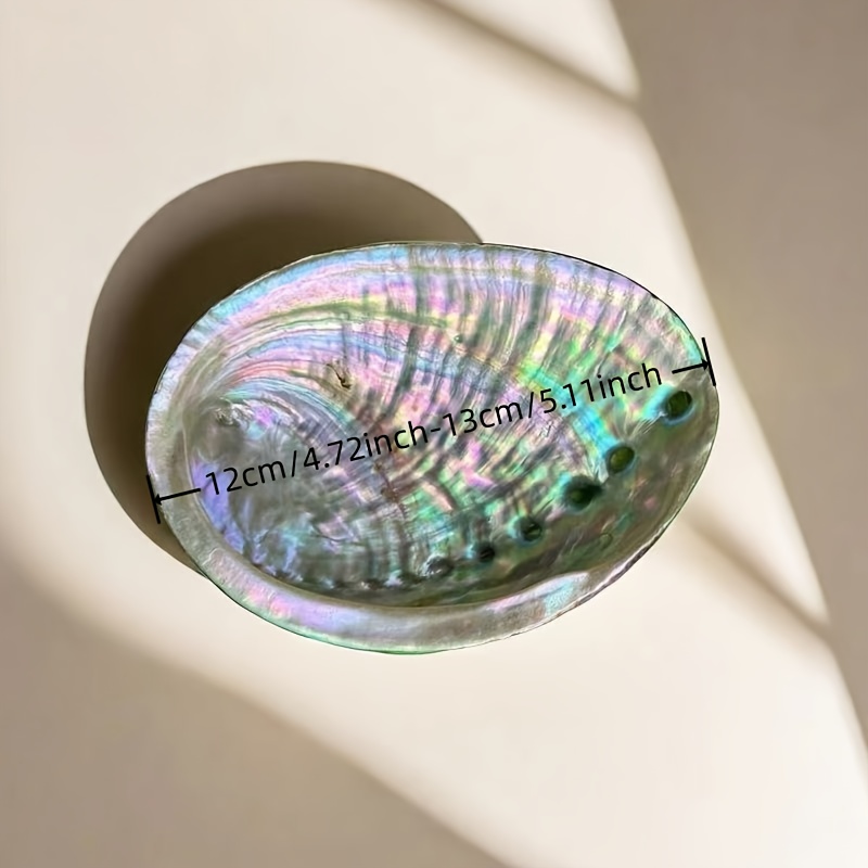 Abalone-schelp plantenbakken,  - Outdoor Furniture Material recensie en prijs